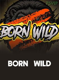 Born Wild icon