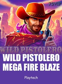 Mega Fire Blaze Wild Pistolero icon